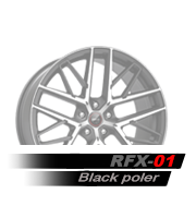 rfx01p