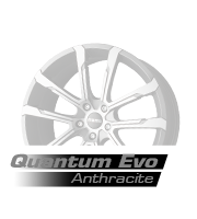 quantumevo down eng